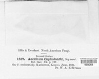 Image Associated With the Occurence
